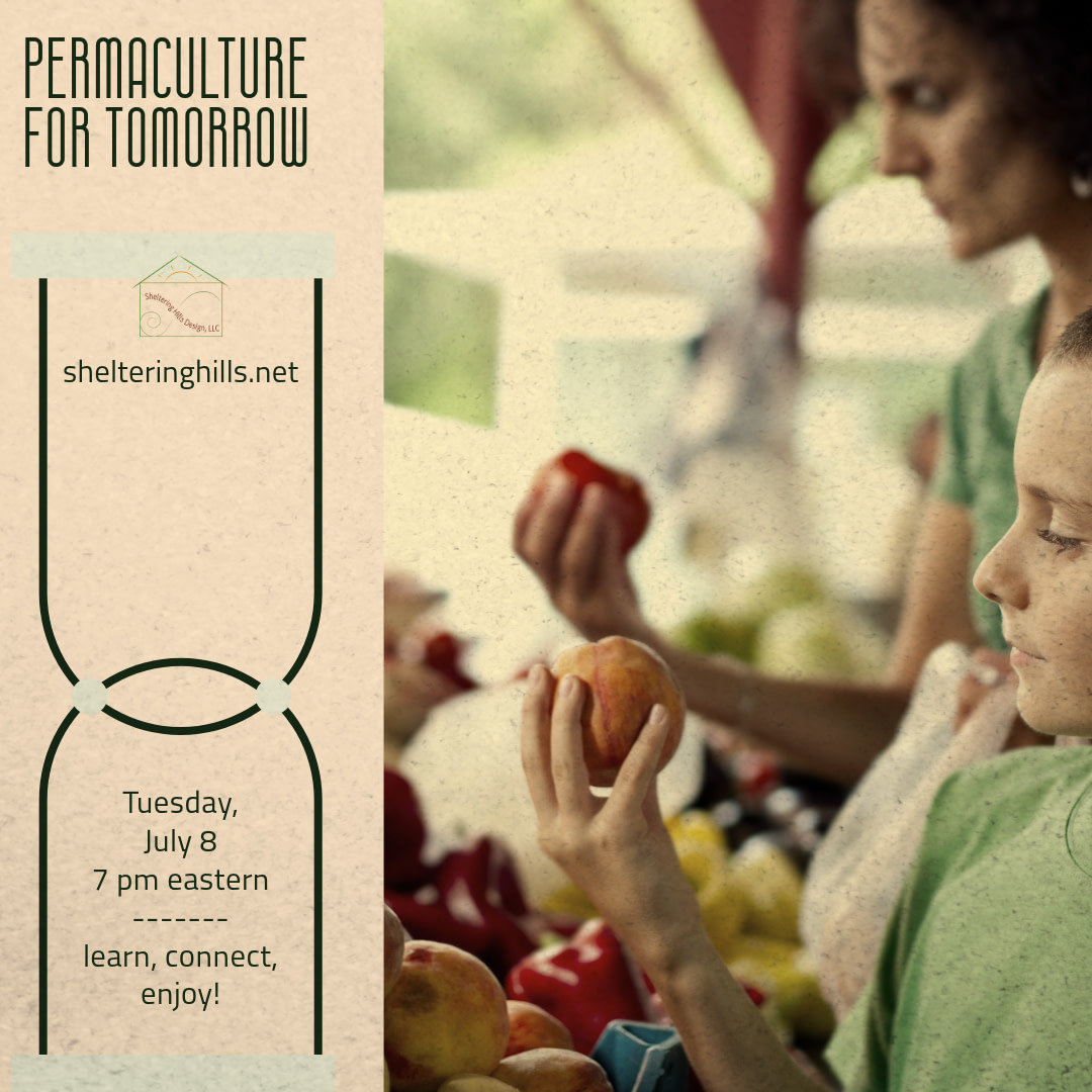 2025 July Permaculture for tomorrow workshop