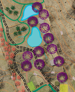 orchard design