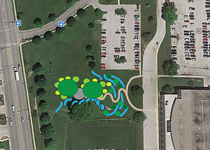 rain garden design