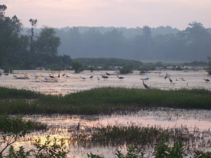 wildlife refuge CC0