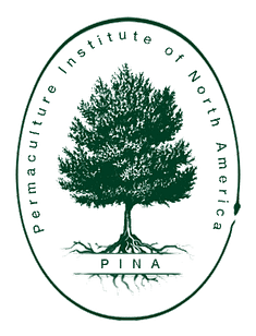 PINA Logo transparent copy pina logo