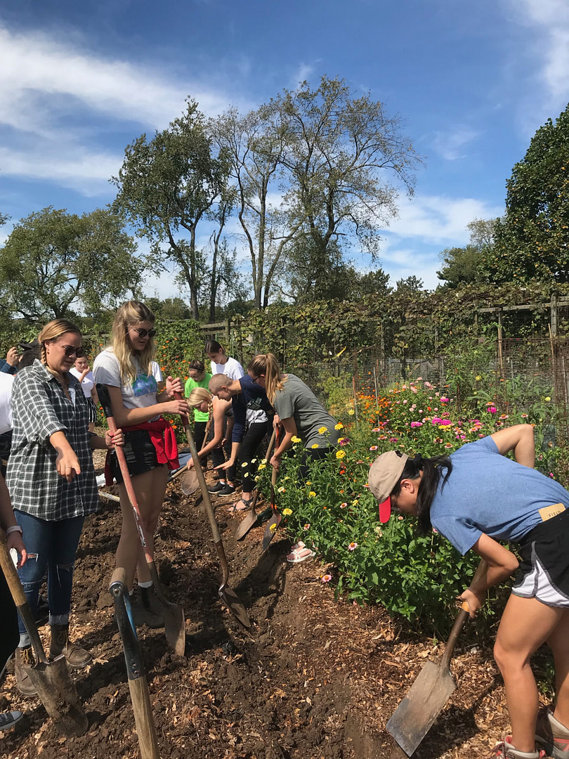 IU students in the garden