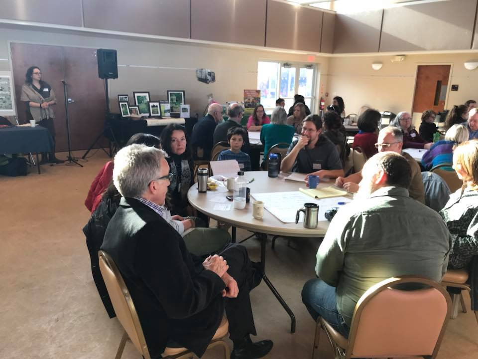Rhonda Baird facilitating a large group workshop, 2018