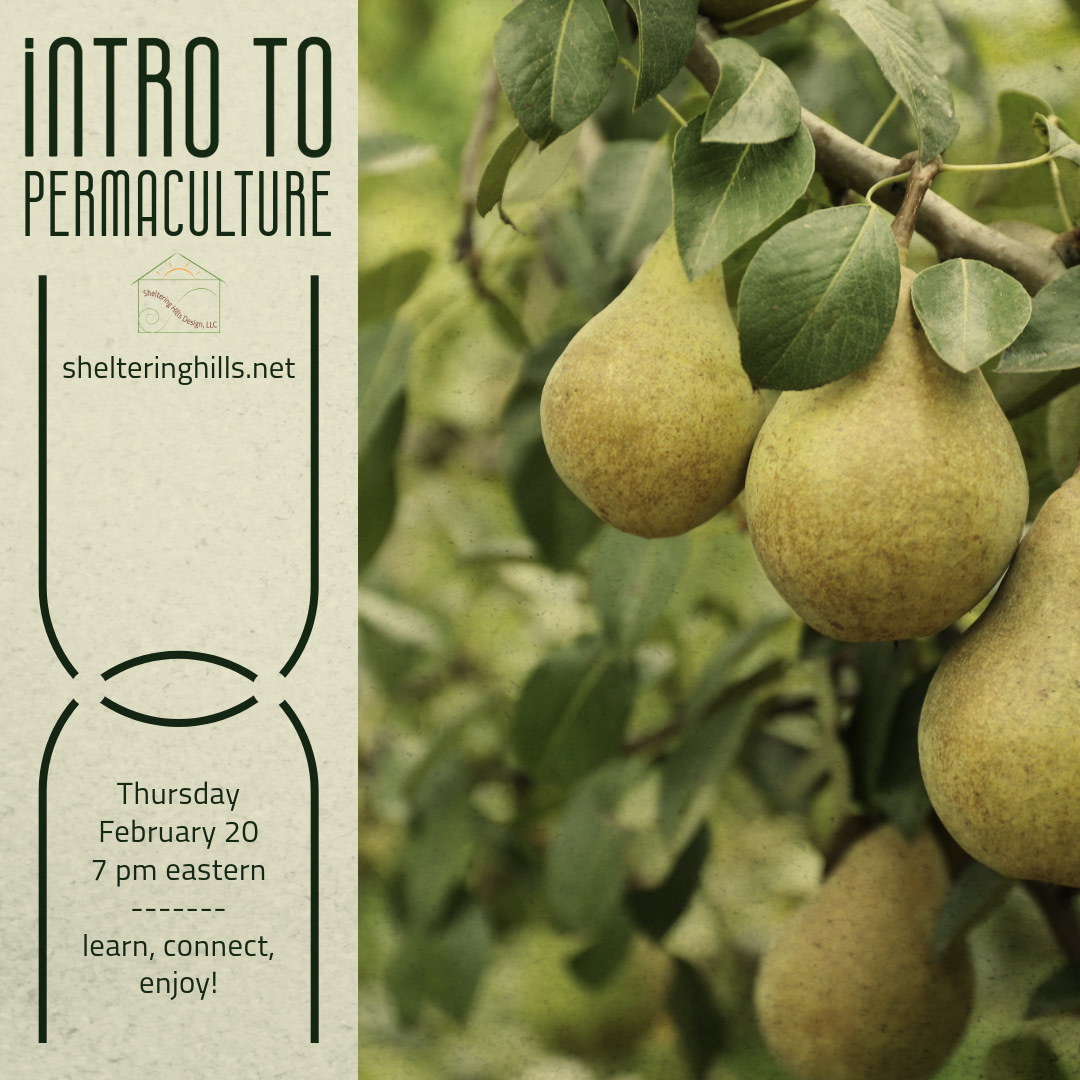 February 2025: Introduction to Permaculture (online)